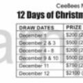 Christmas Calendar Draw Tickets (Sept. 20th)